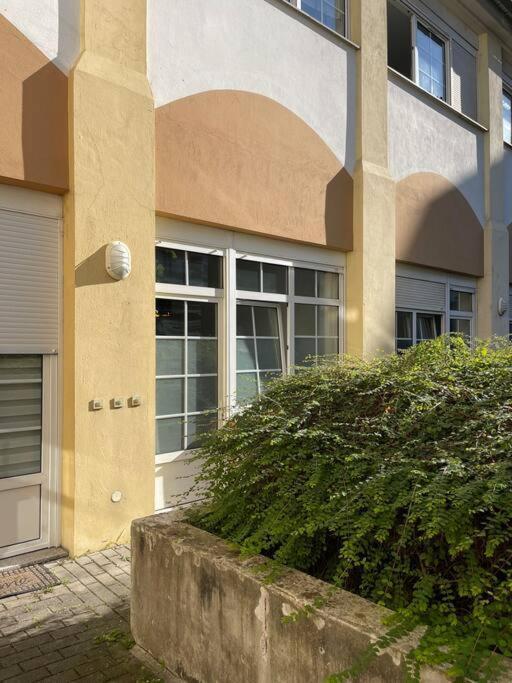 Le Cosy' Moderne - Proche Musee D'Art Moderne Strasbourg Exteriör bild